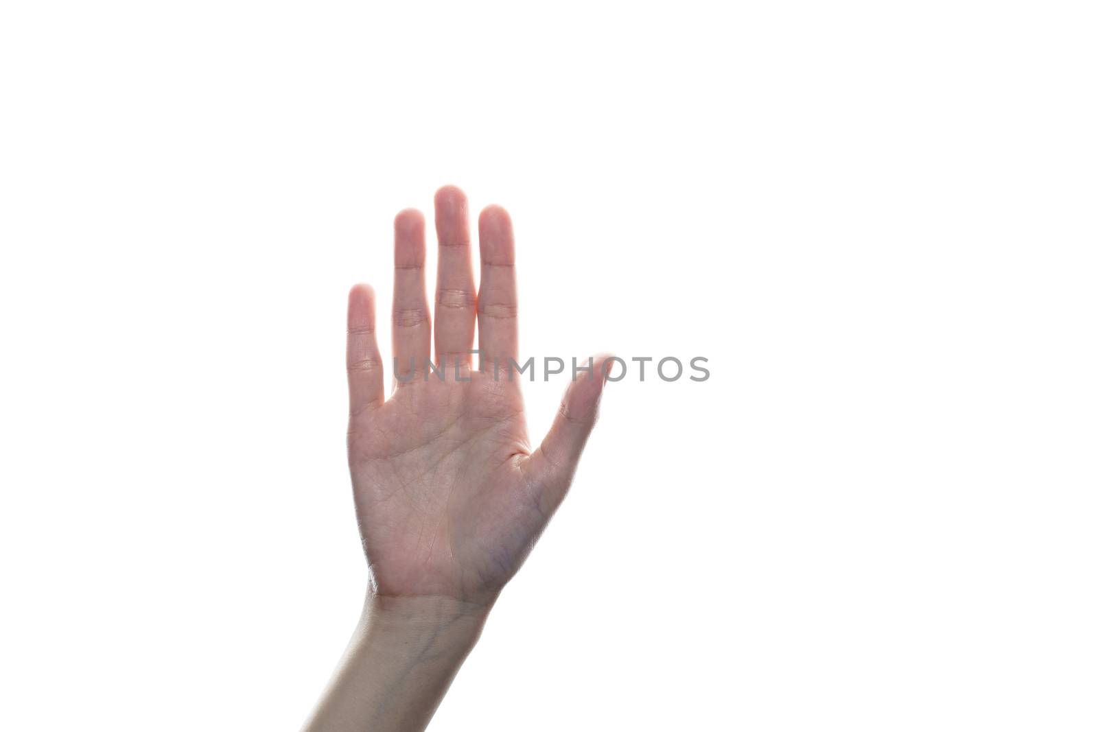 Woman hand showing stop or high five sign on white background.