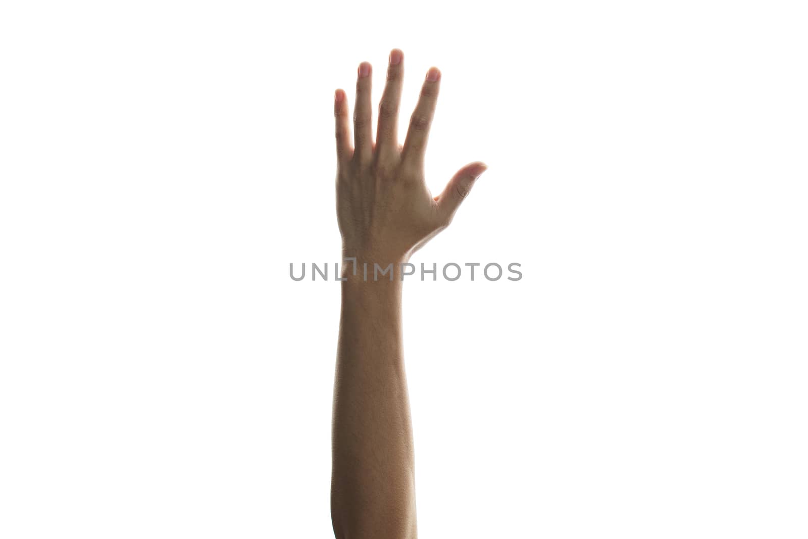 Hands raised in the air mean support, surrender or voting isolated on white background.