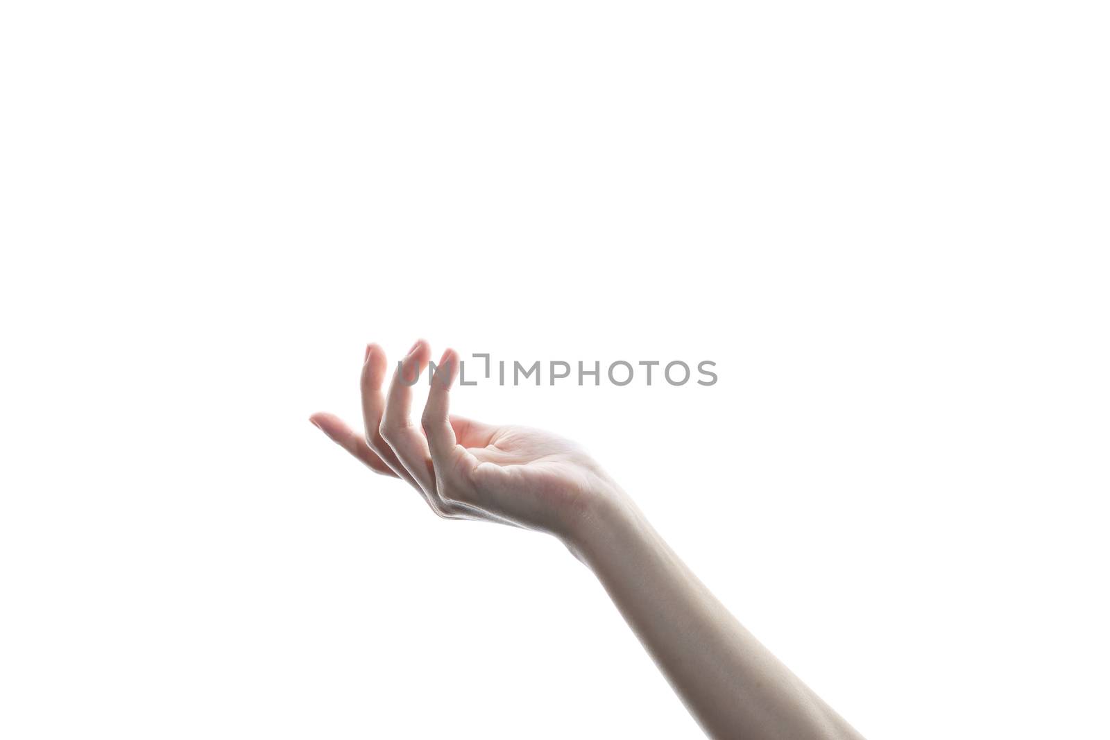 Beautiful woman's hand isolated on white background. Palm up, open the palm of the hand.