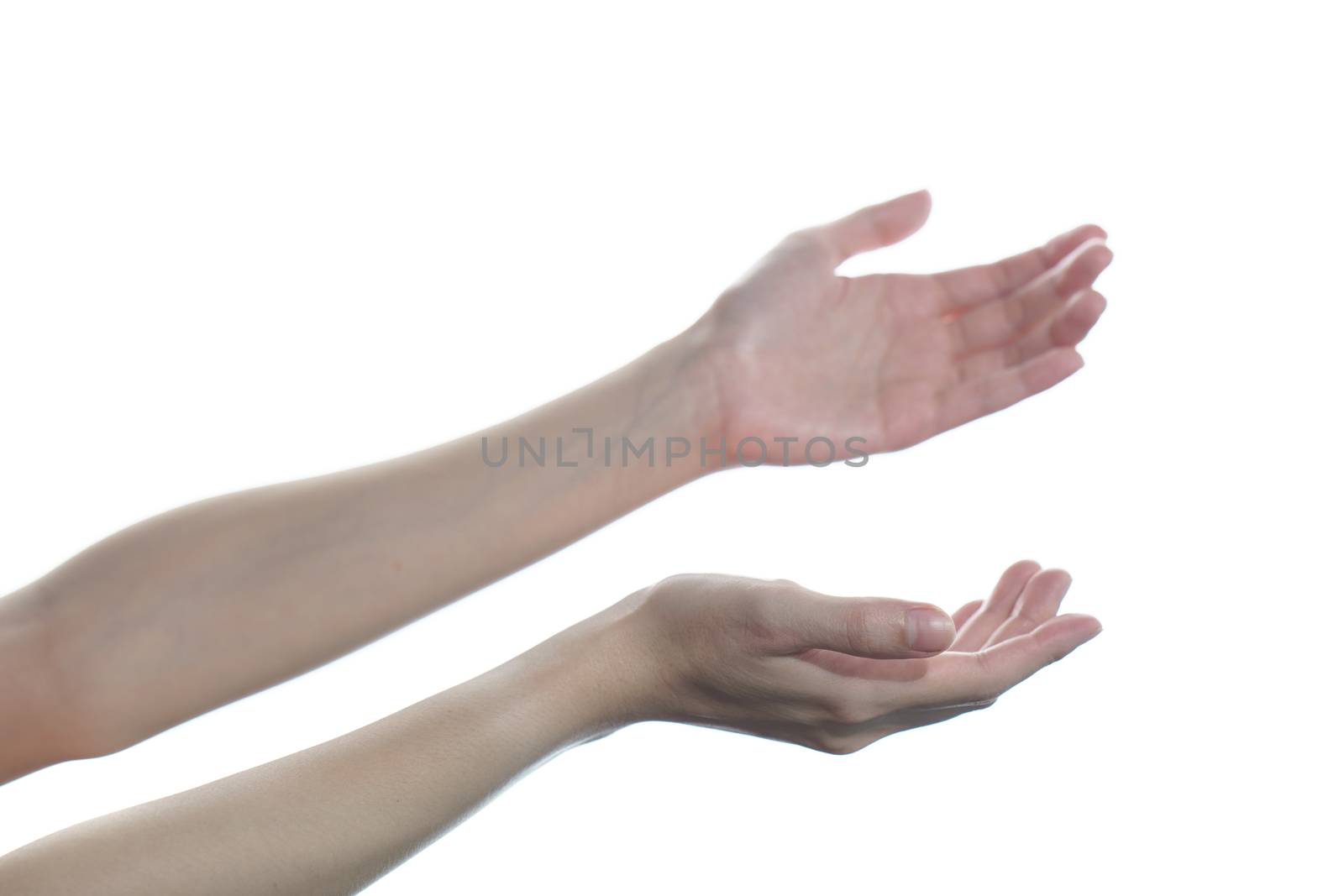 Woman hand pleading or open the palm of the hand on white isolated background.