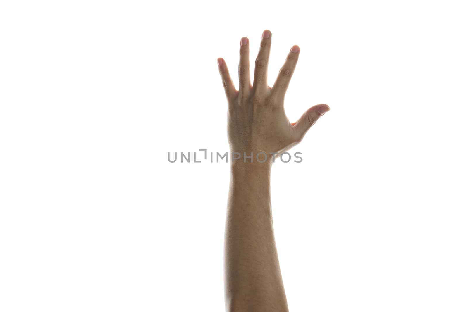 Hands raised in the air mean support, surrender or voting isolated on white background.