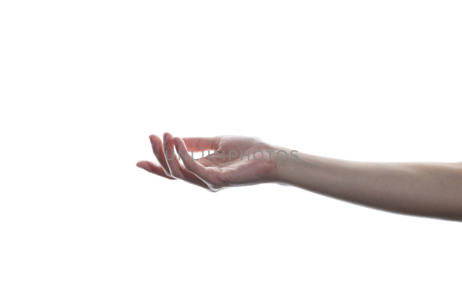 Beautiful woman's hand isolated on white background. Palm up, open the palm of the hand.
