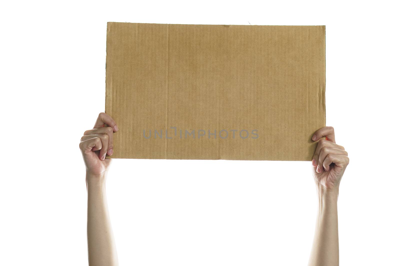 Woman hand holding a blank placard to put the text.