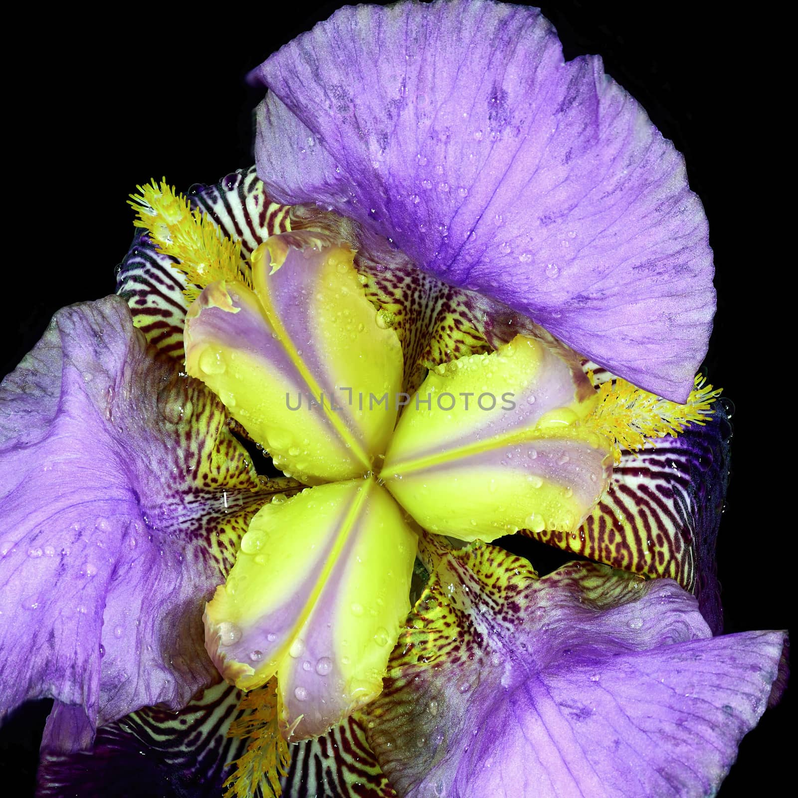 Beautifully presented and photographed florals in the Studio.