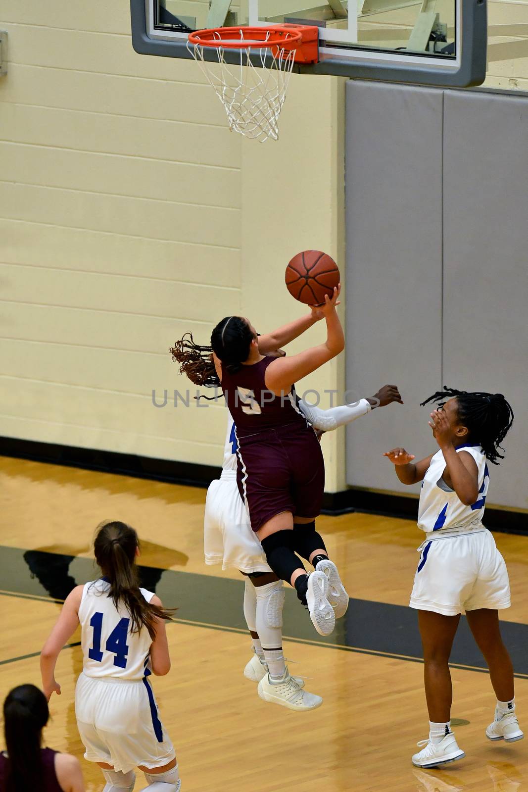 Exciting plays being made by young girls playing basketball