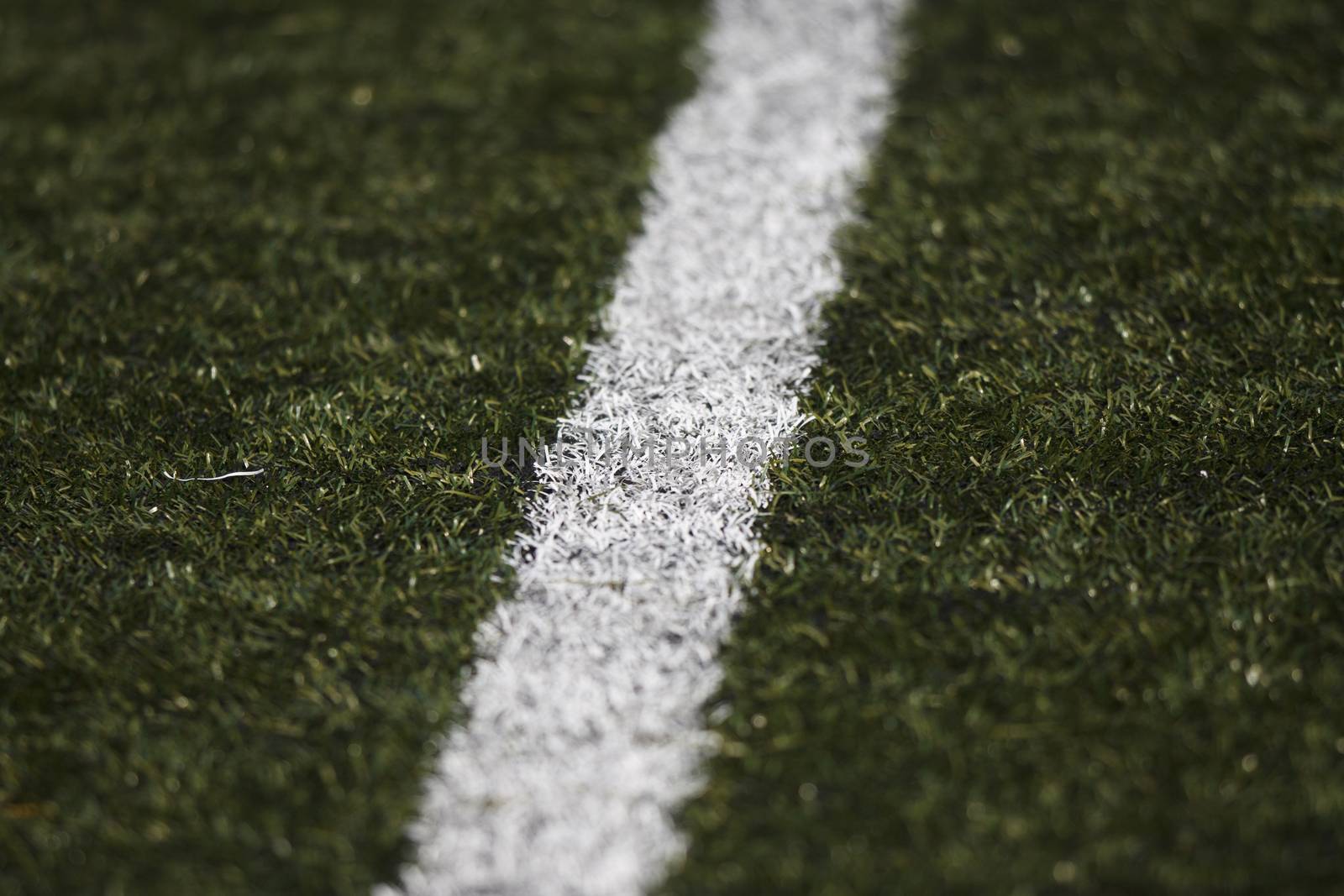 Detail of lines of soccer field. DOF