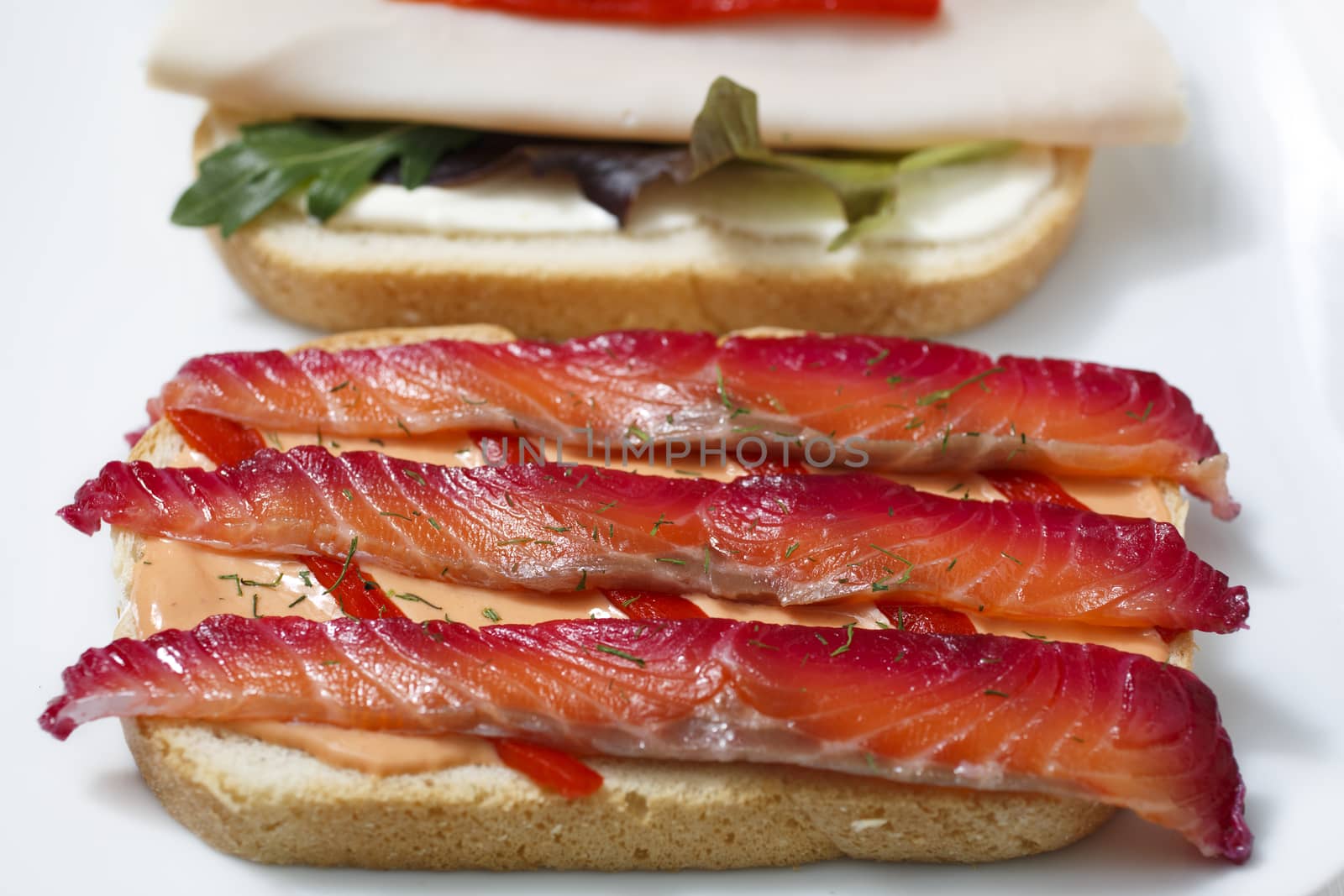 Delicious sandwich with gravlax, turkey and green vegetables.