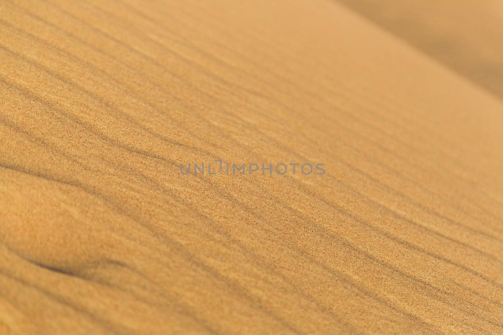 Background of the desert with a deep of field of the stripes made by the wind. The photo was shot from a top view in a sunny day.