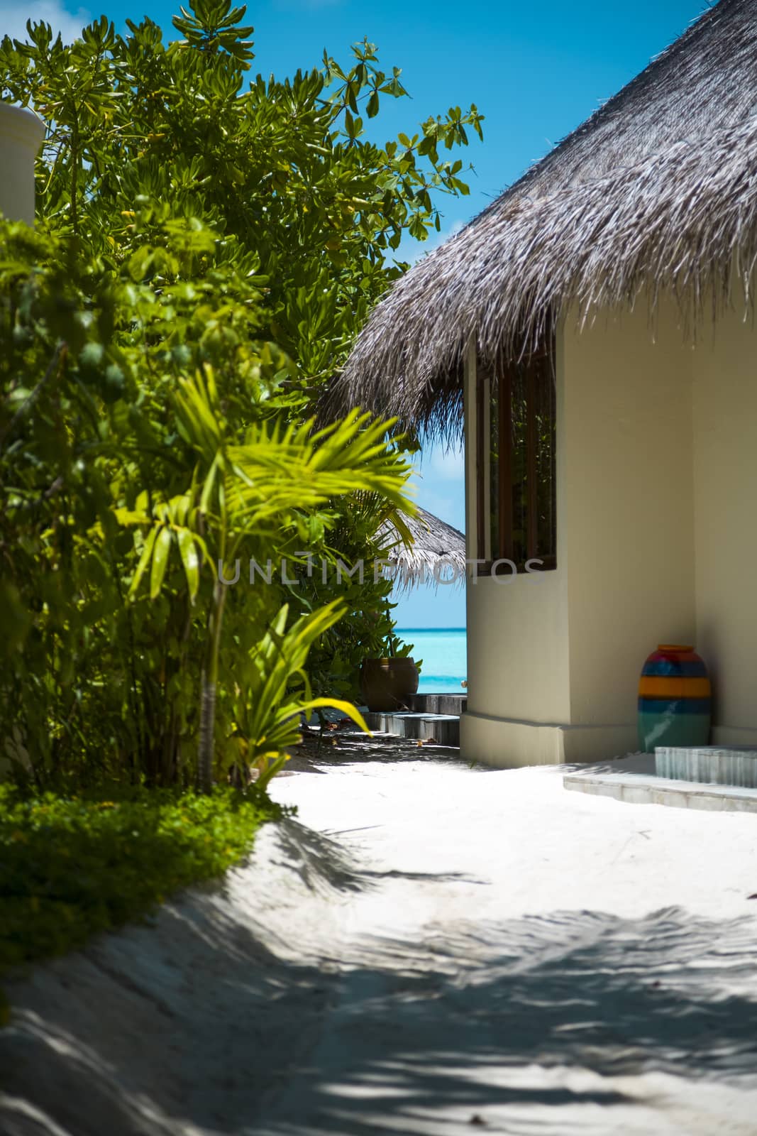 View of a Tropical Beach Villa and a Corner of Vegetation in a T by Nemida