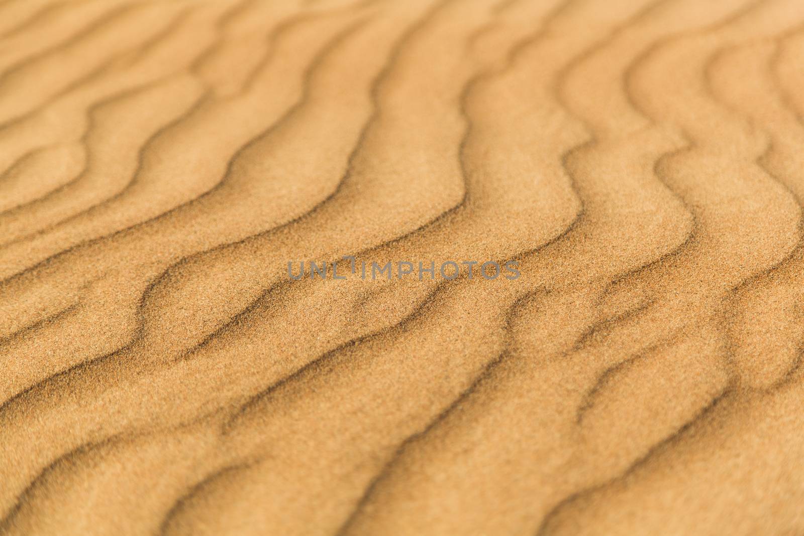 Desert by Nemida