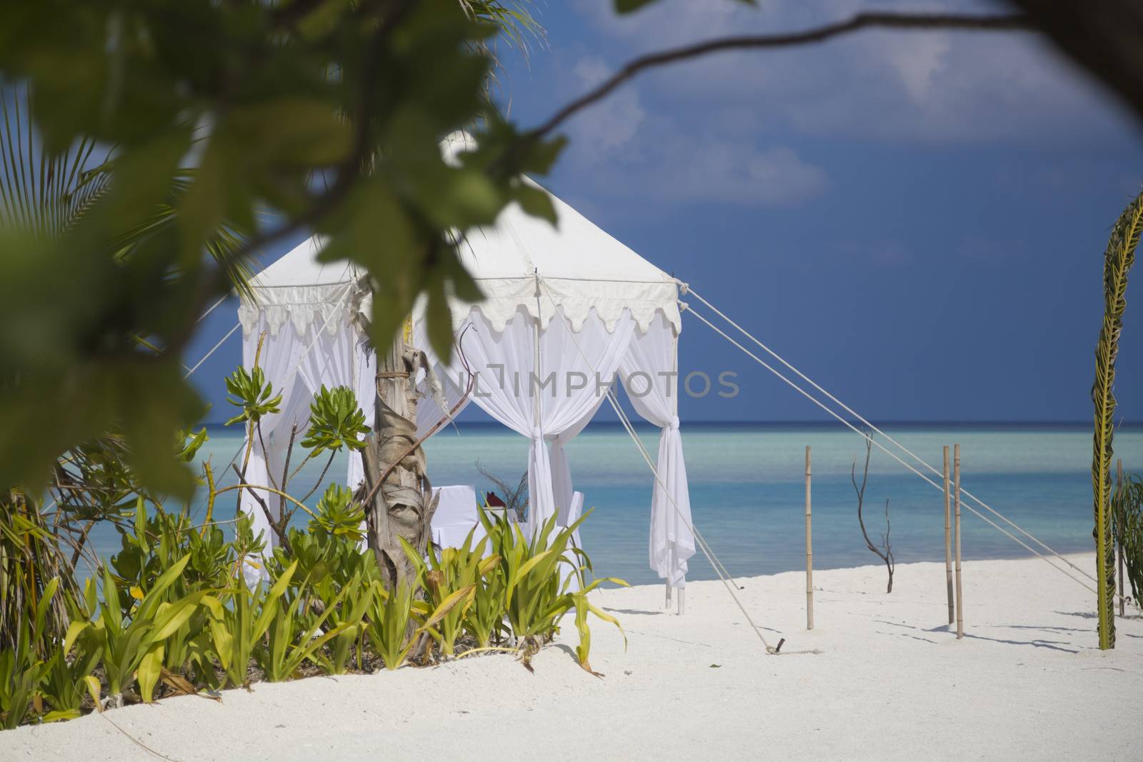 Dining table in the beach in Maldives. There is a branch out of focus in the midle of the frame, the table is in focus and then, the sea is out of focus with beautiful turquoise tones.