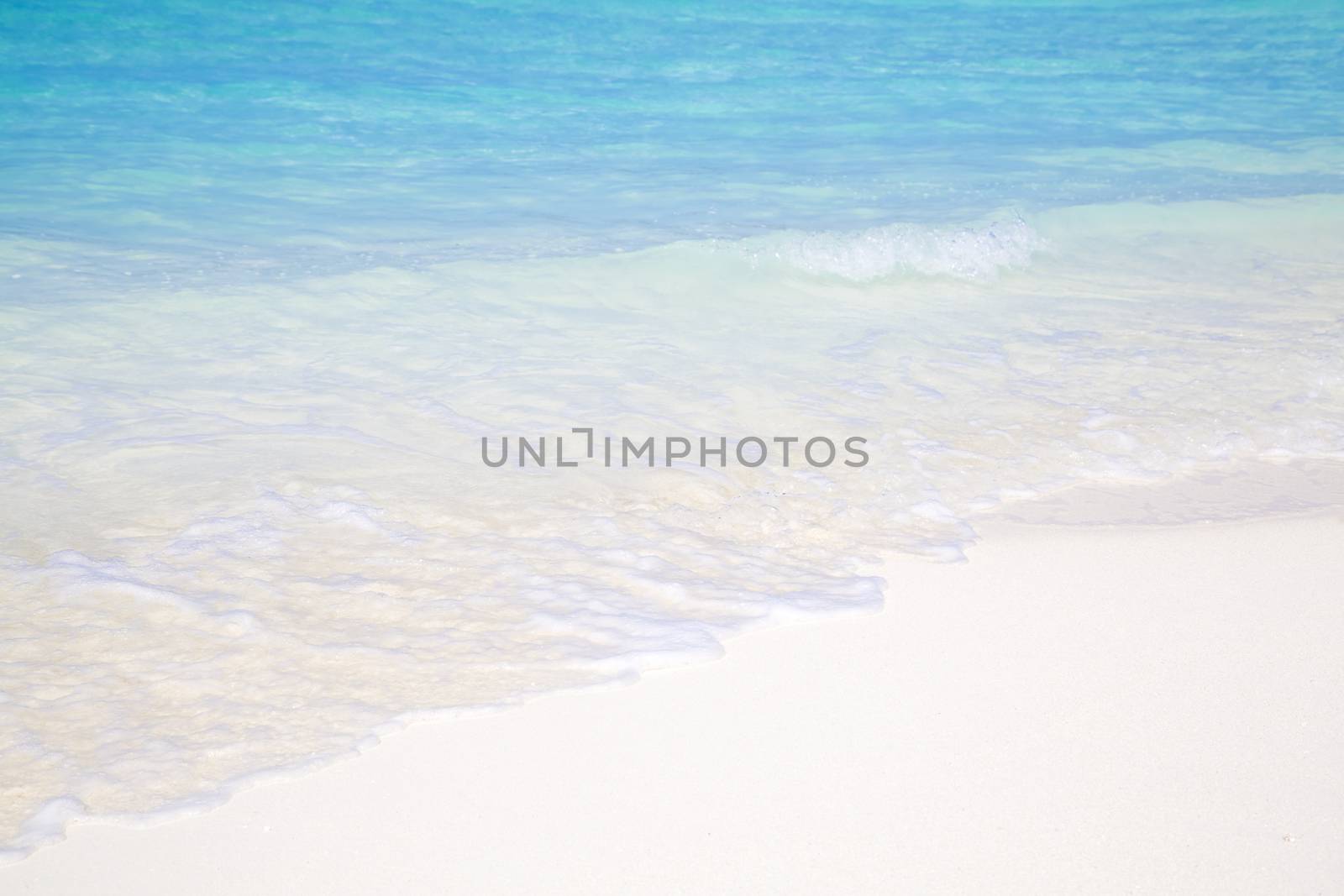 Detail of tropical beach in paradise with clear crystal water in Maldives. Beautiful tones of turquoise in the sea.