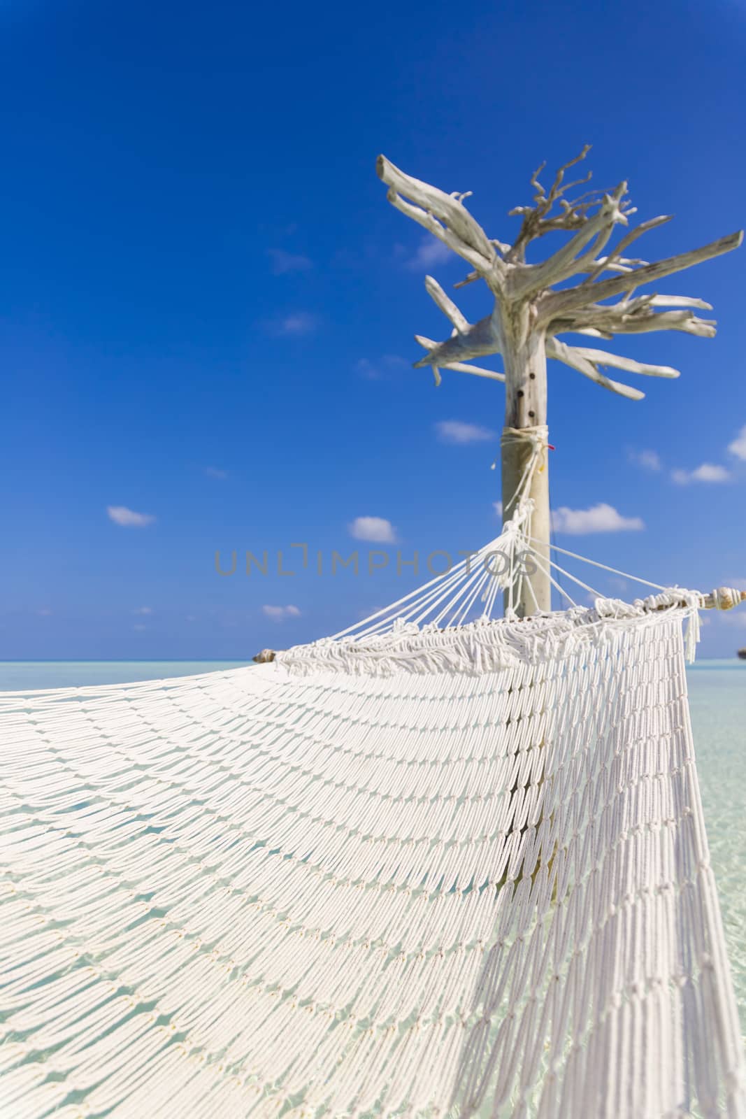 Hammock hold by white tree in a shallow and clear sea.