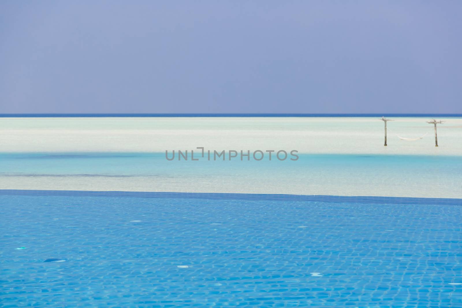 Swimming pool in front with hammock at background.