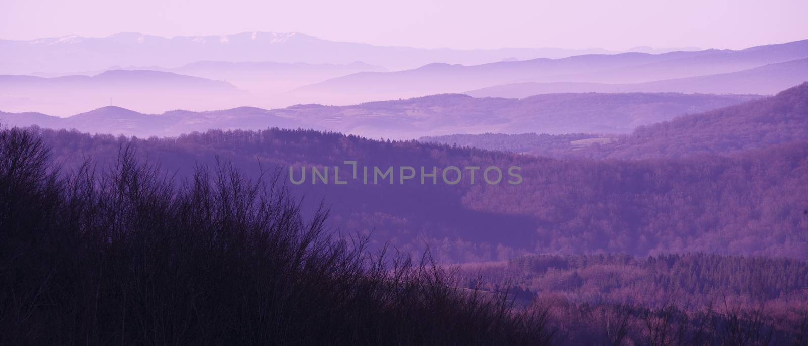 Misty Purple Dawn in the Mountains by Nemida