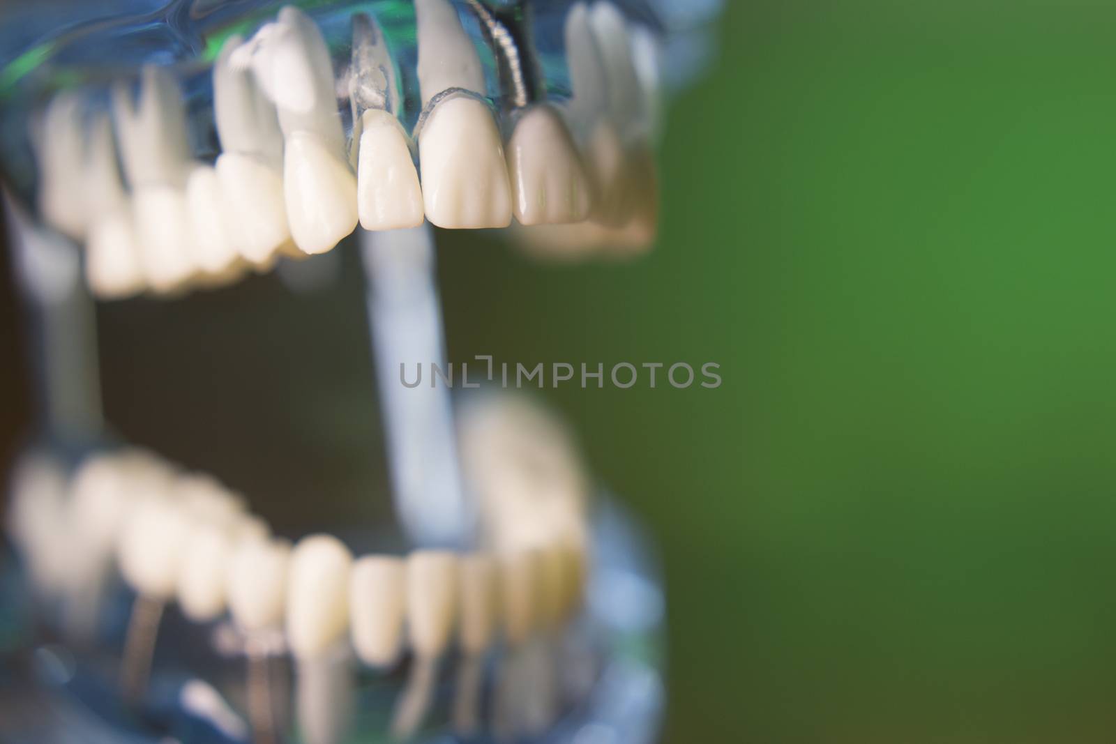 Denture for dentistry students with different health problems