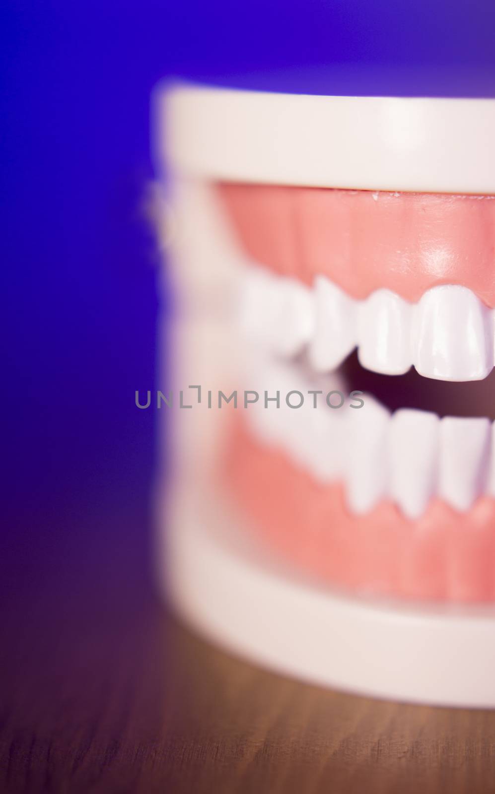 Denture for dentistry students without transparent orthodontics