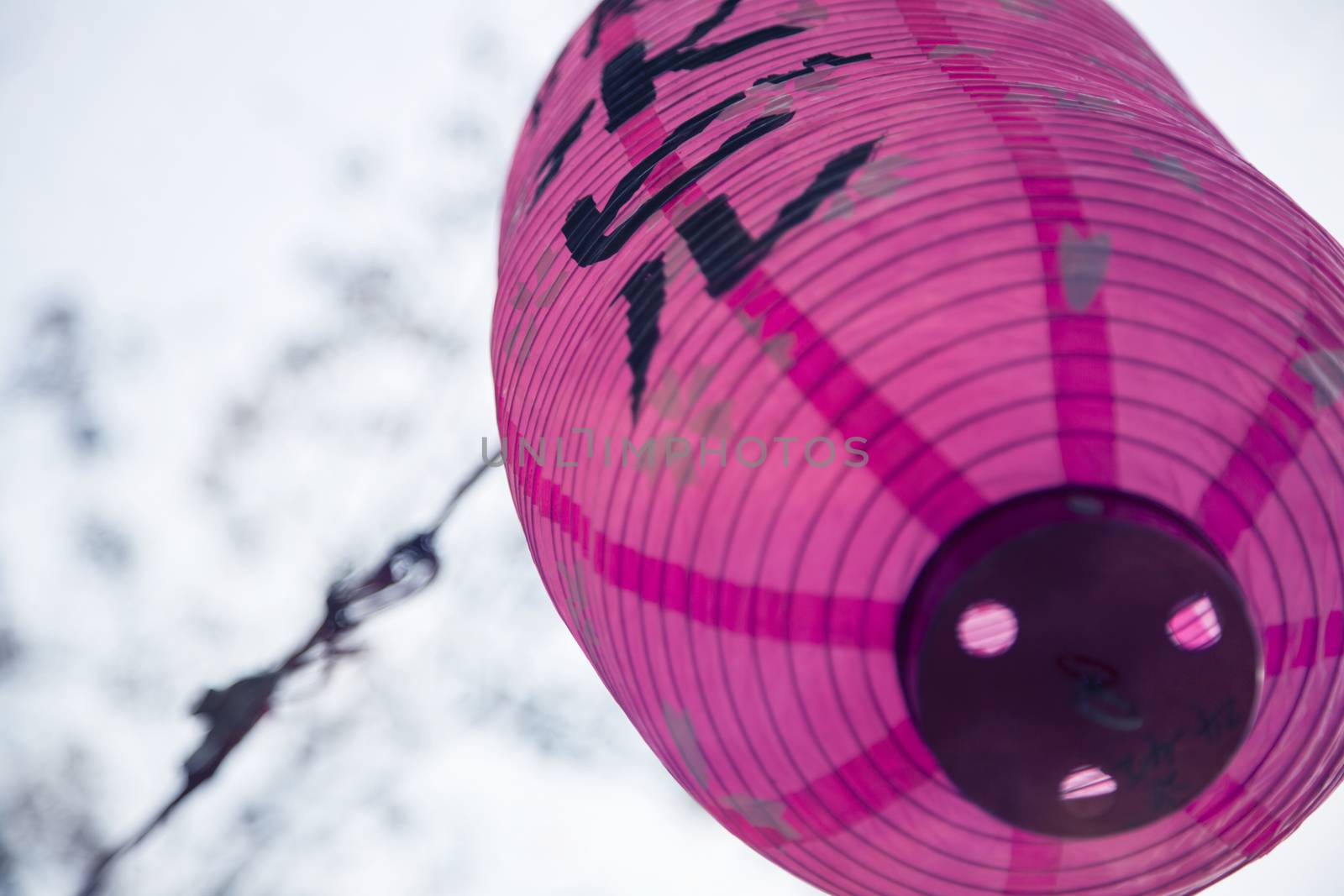 Japanese lantern hanging in the street.