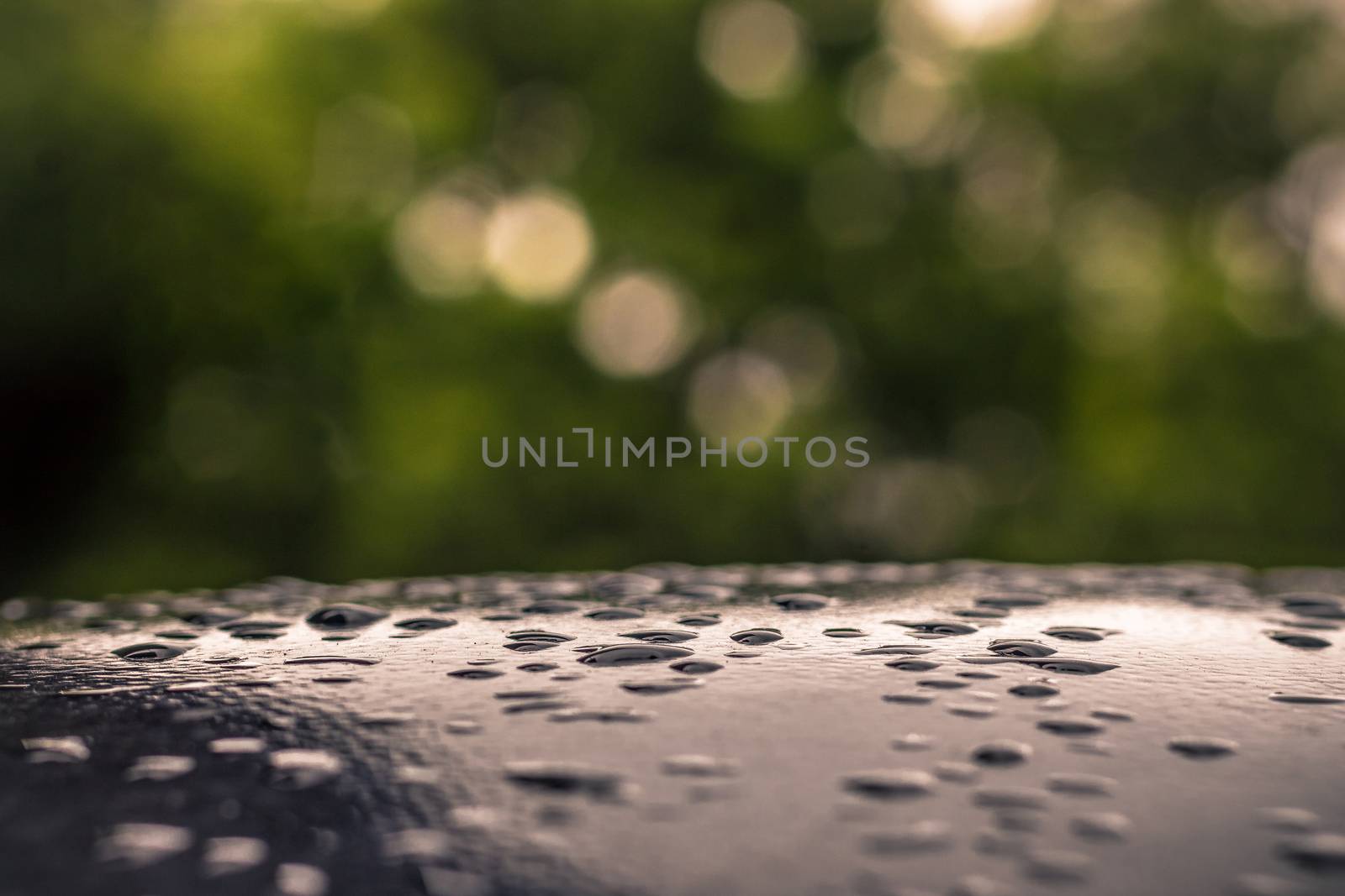 in mansoon water drops and background look beautiful nature bokeh