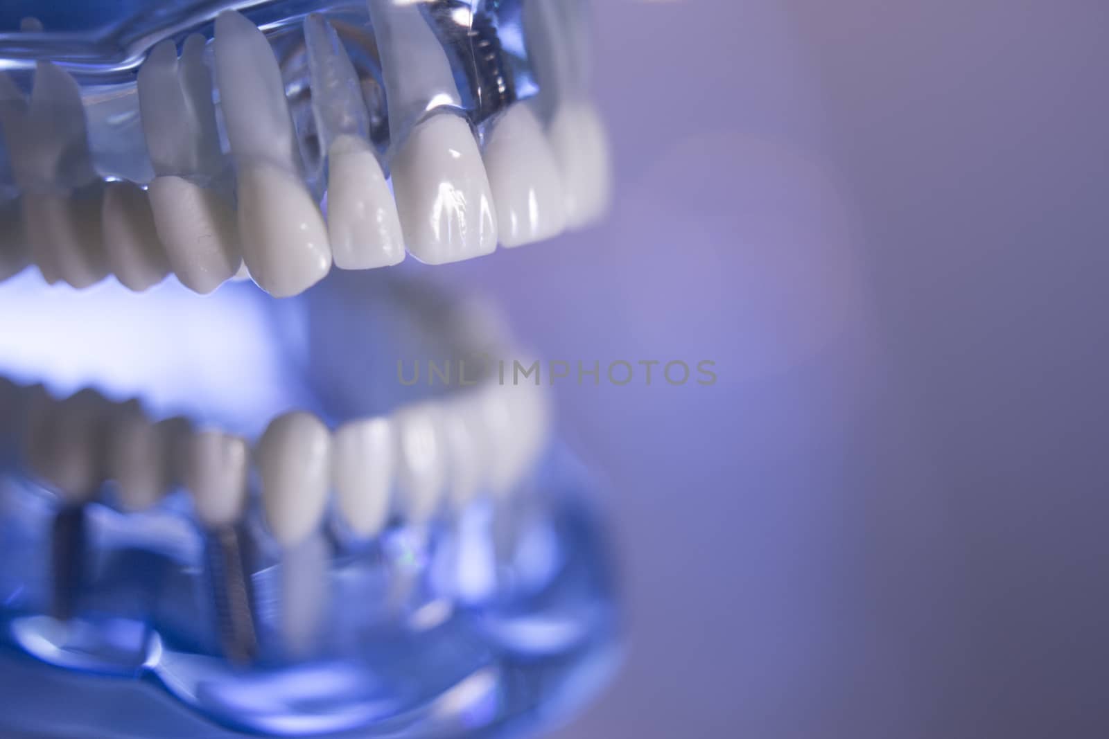 Denture for students on colored background