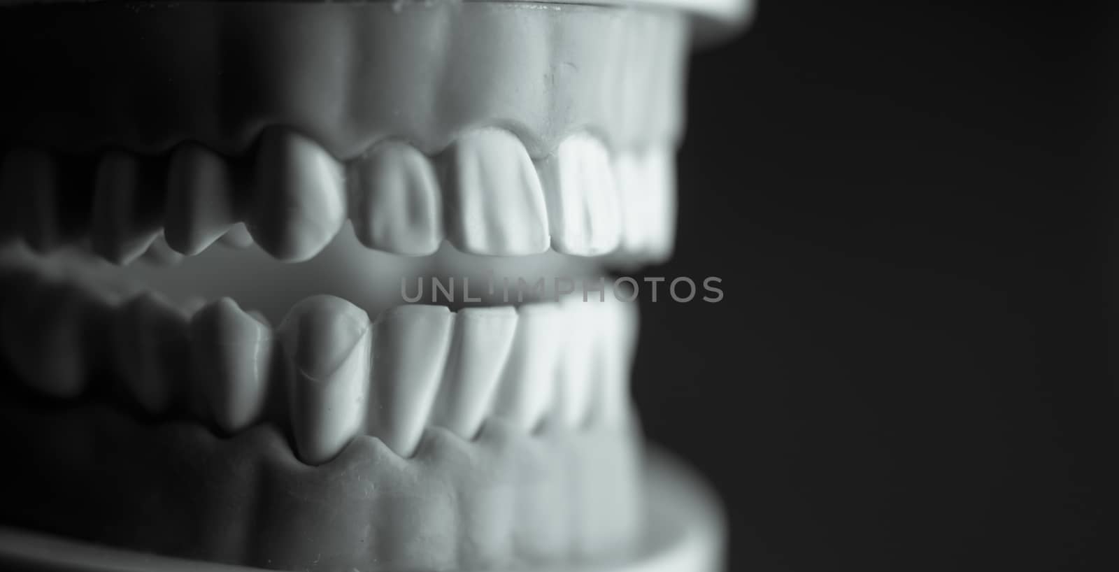 Denture for students on colored background