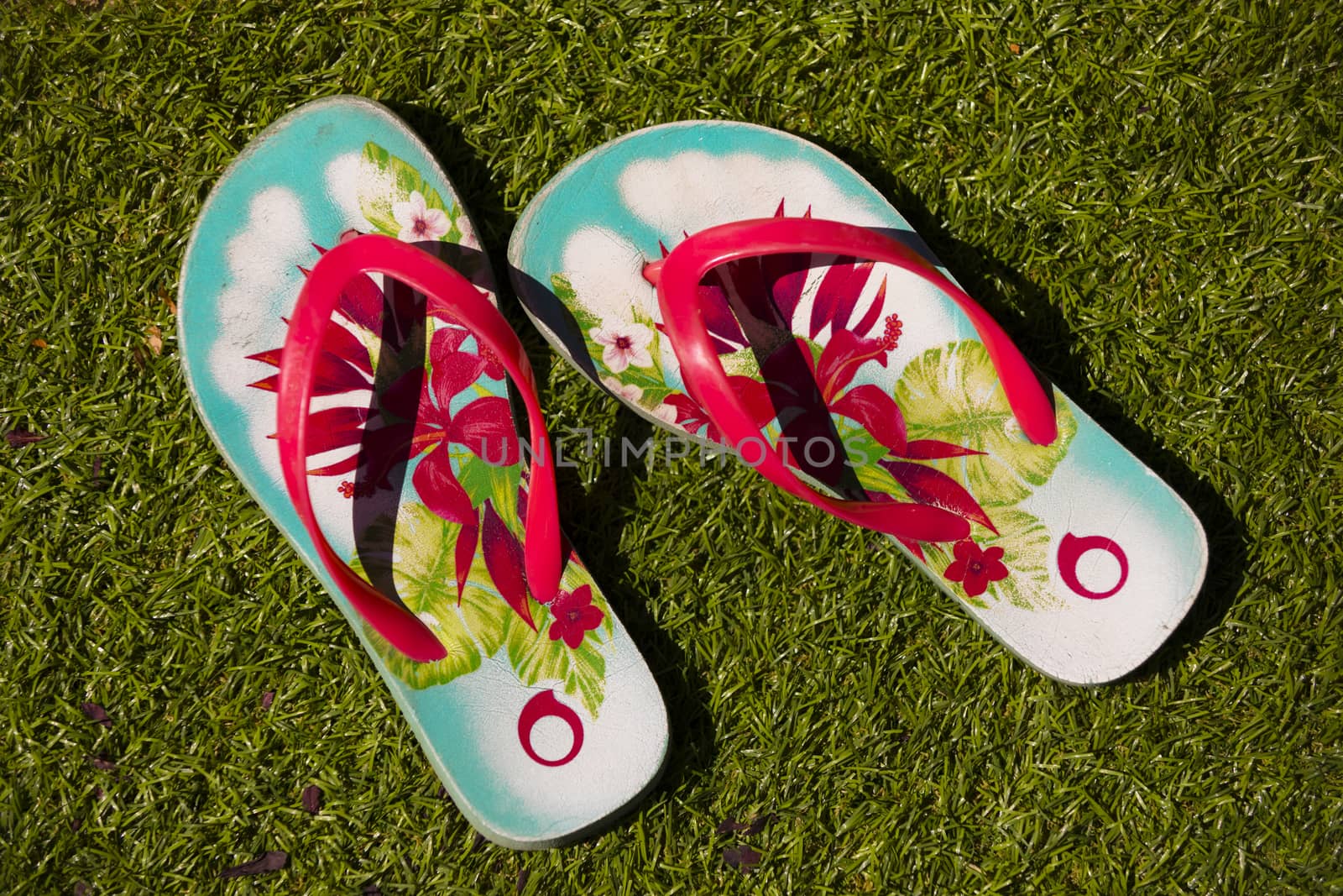 Flip flops over the lawn by Nemida