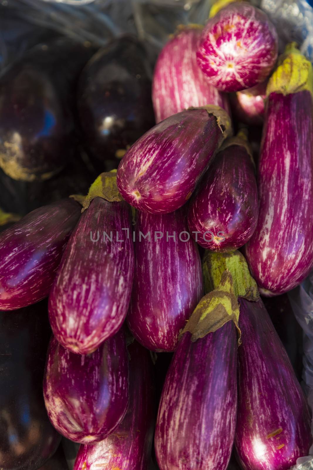 Zuchinni and eggplant  in a organic supermarket