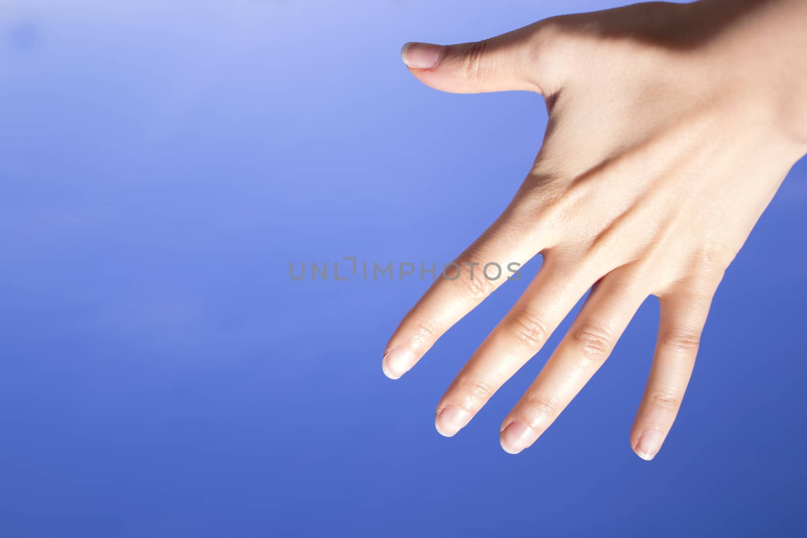 White woman hand gesturing on blue background