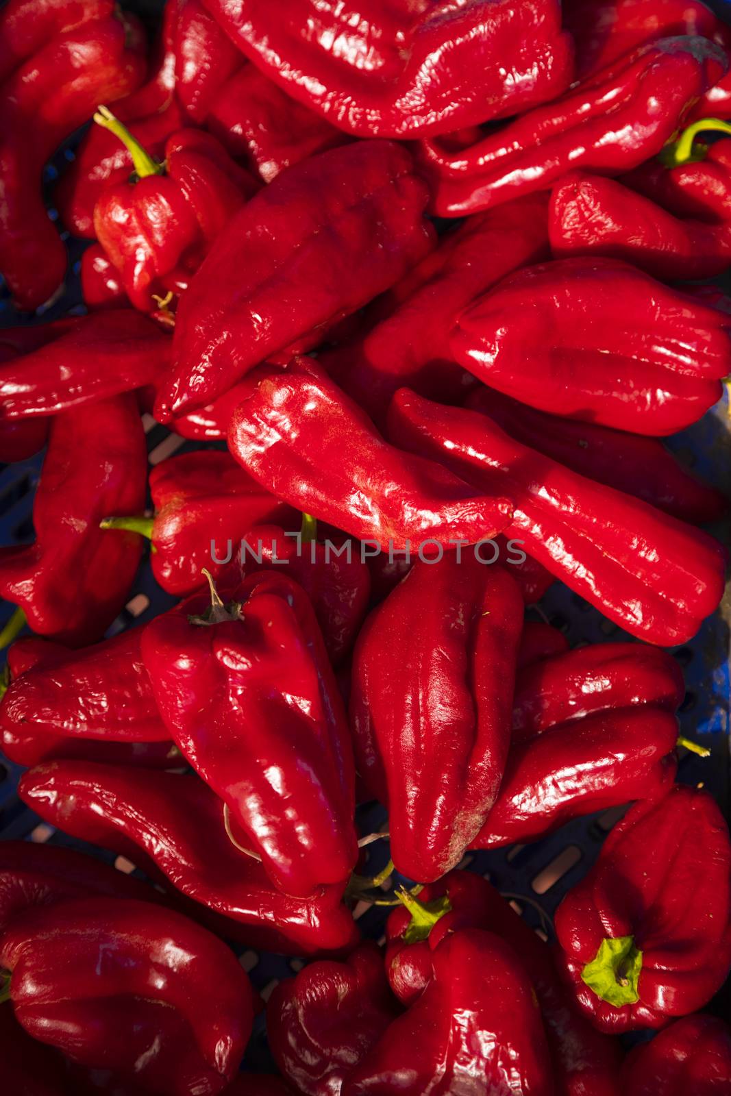 Red peppers in supermarket by Nemida