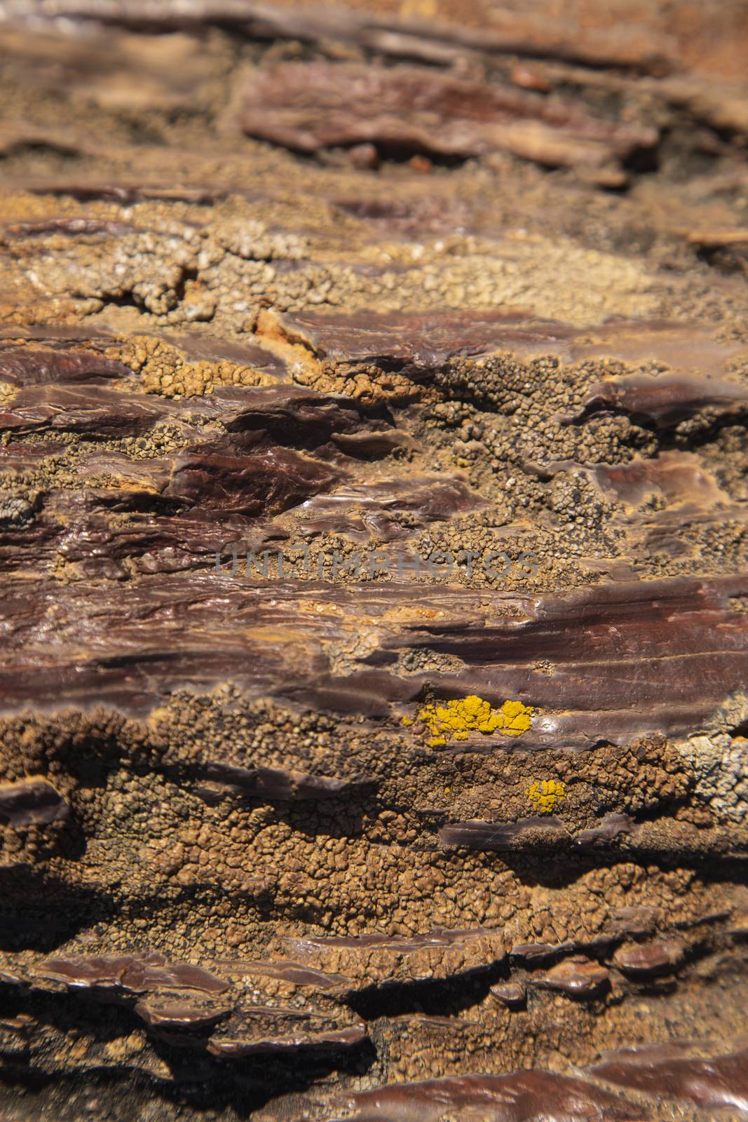 Red water in Rio Tinto, Huelva by Nemida