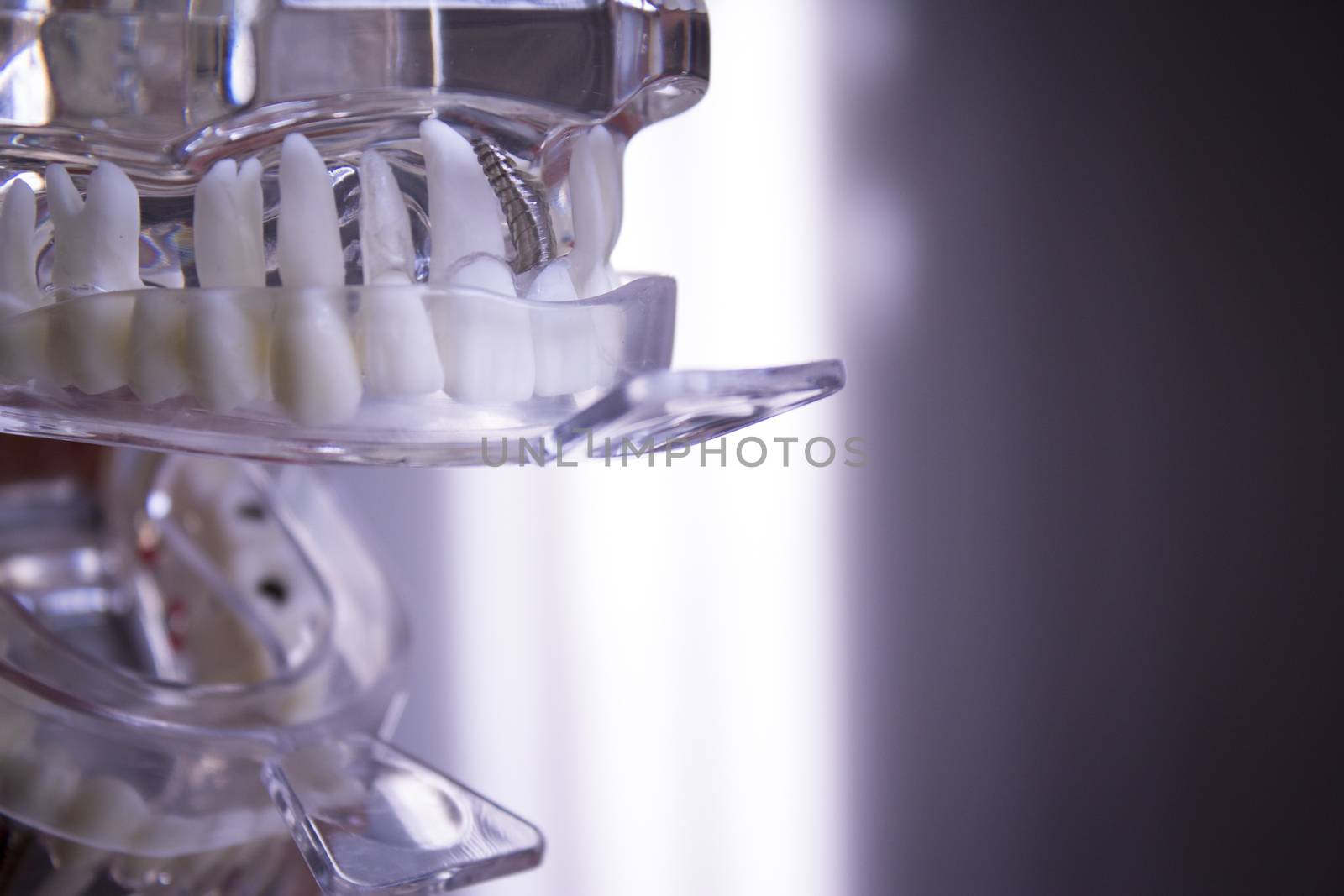 Silicone molds to make dentures inside a false mouth