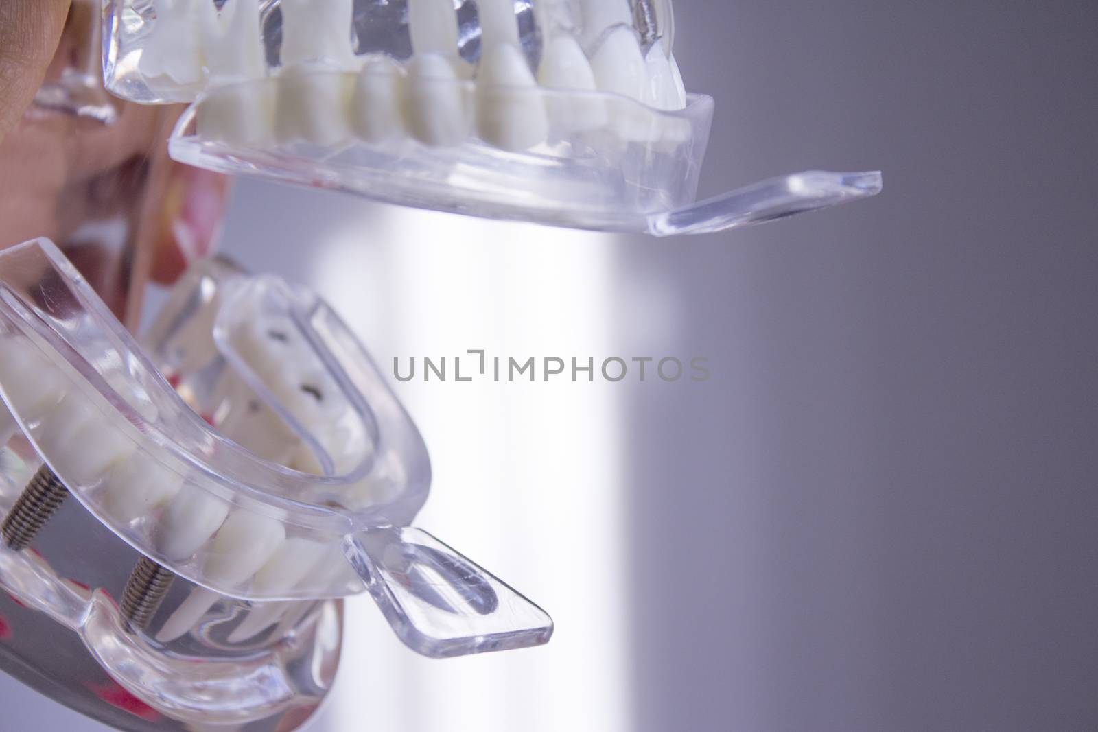 Silicone molds to make dentures inside a false mouth