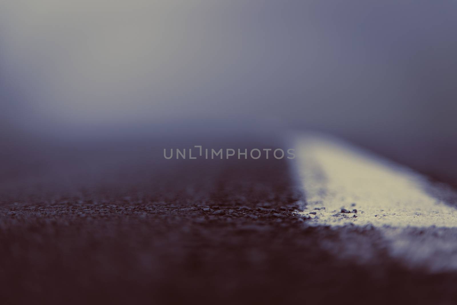 Beautiful vintage photographs from low angle of a road.