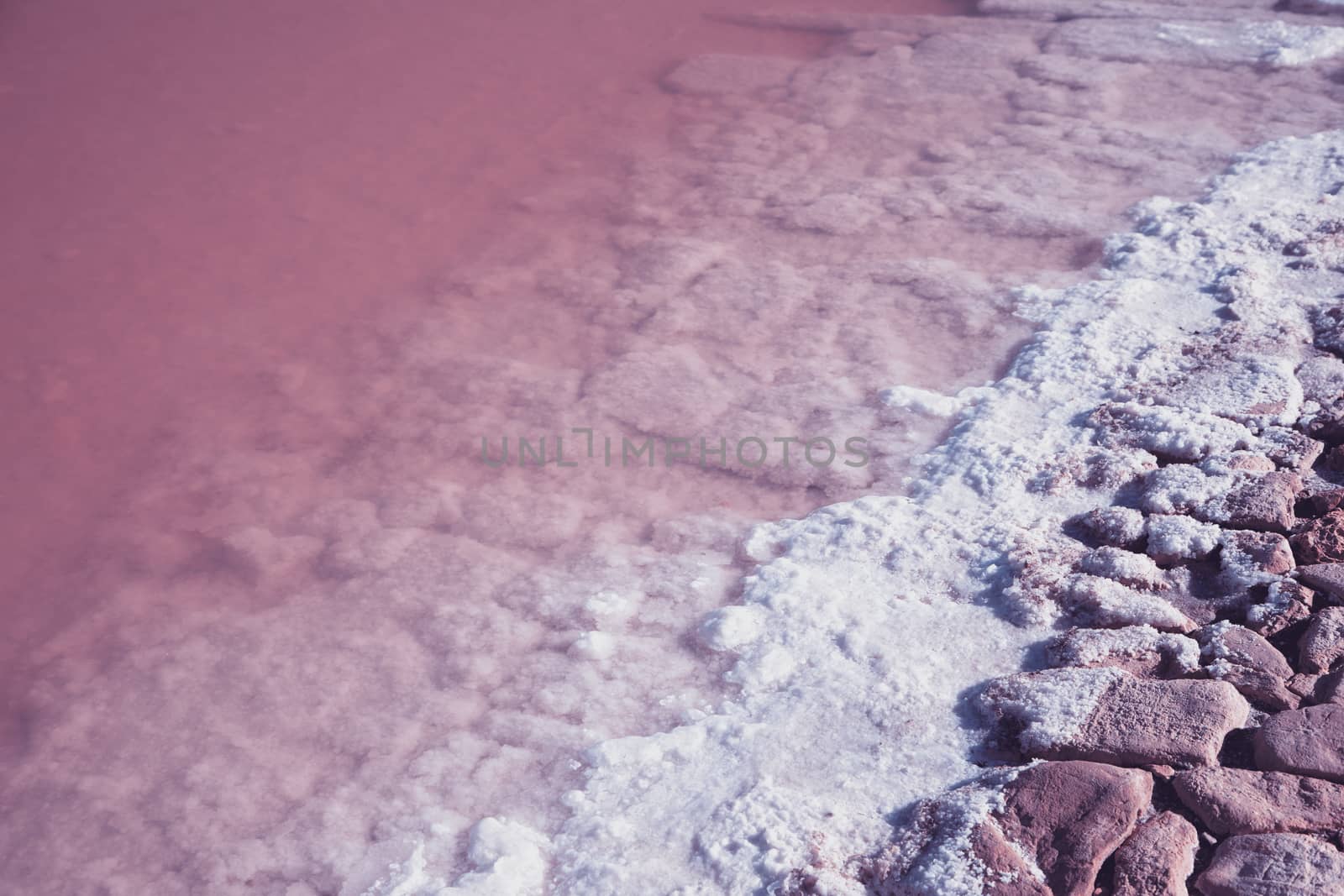 Textured of different shapes of rocks of salt in a pink water basin.