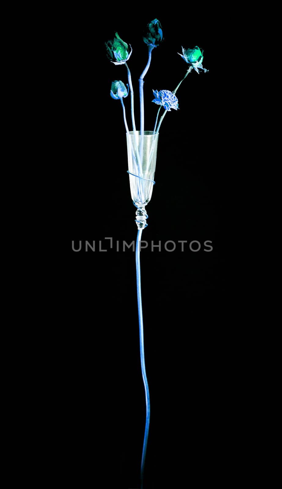 Dark dried flowers in a glass vase