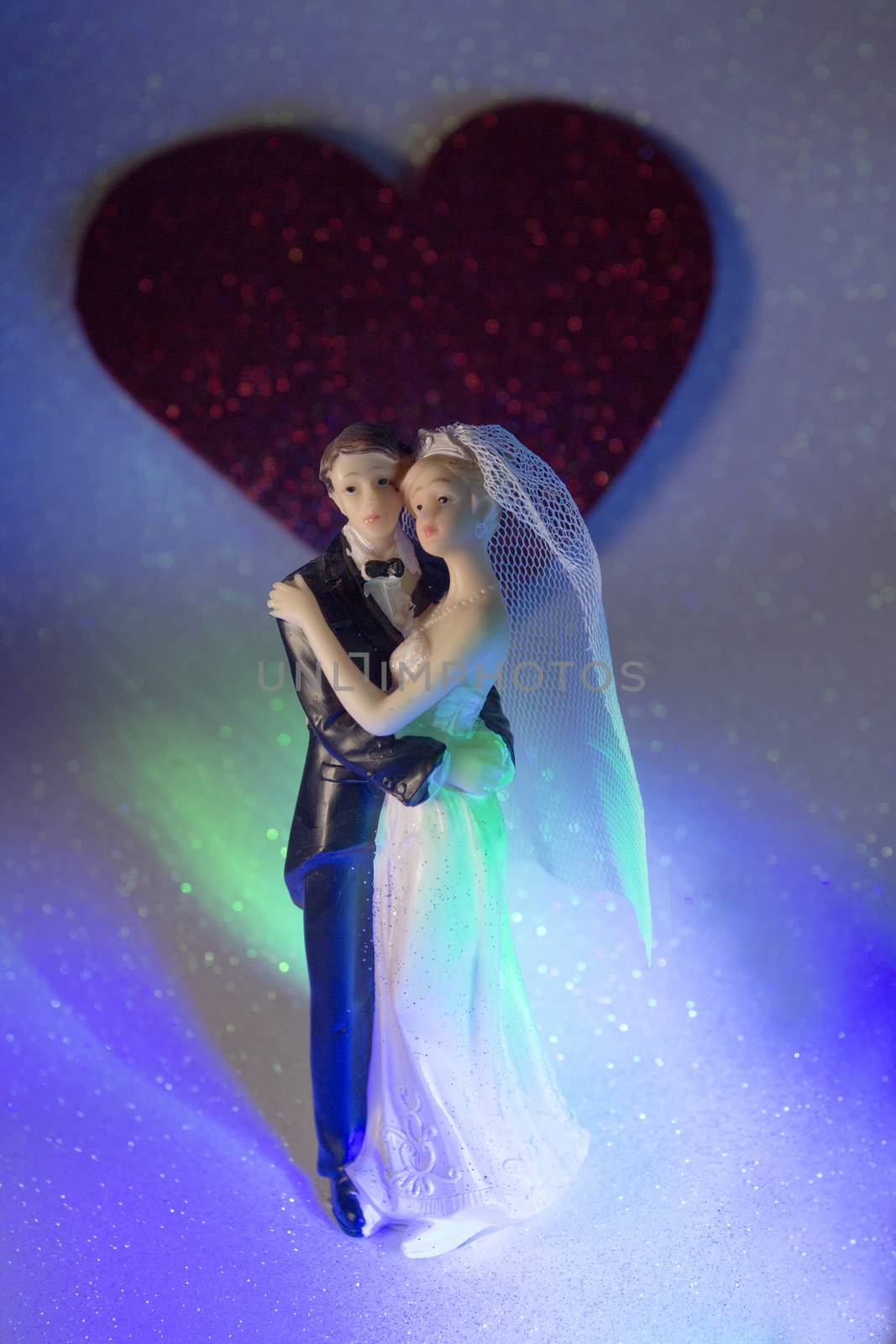 Newlyweds embraced bride and groom