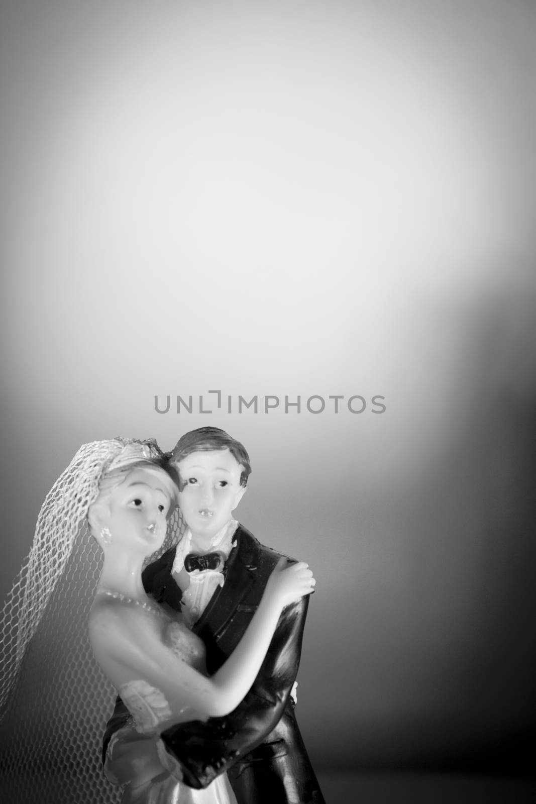 Newlyweds embraced bride and groom