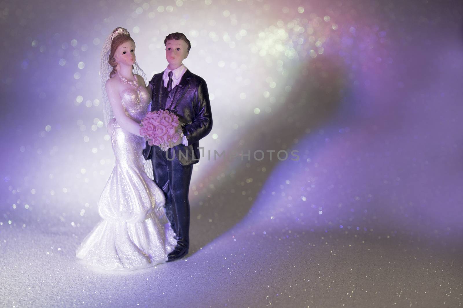 Newlyweds embraced bride and groom