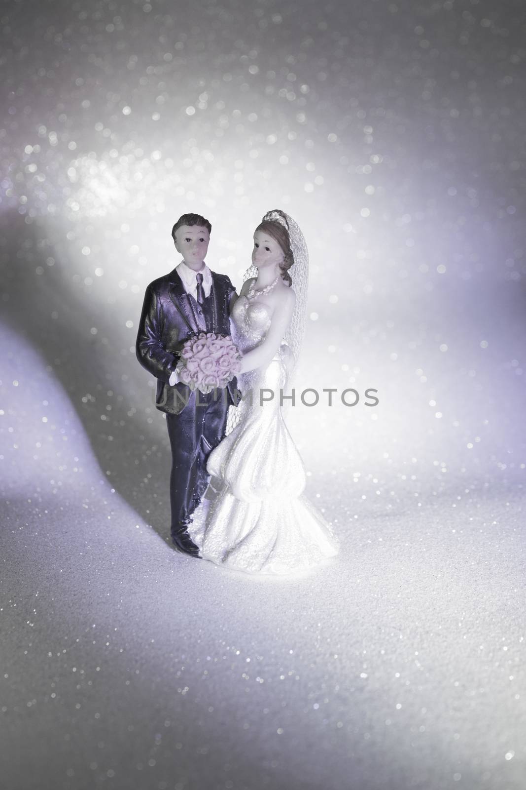Newlyweds embraced bride and groom