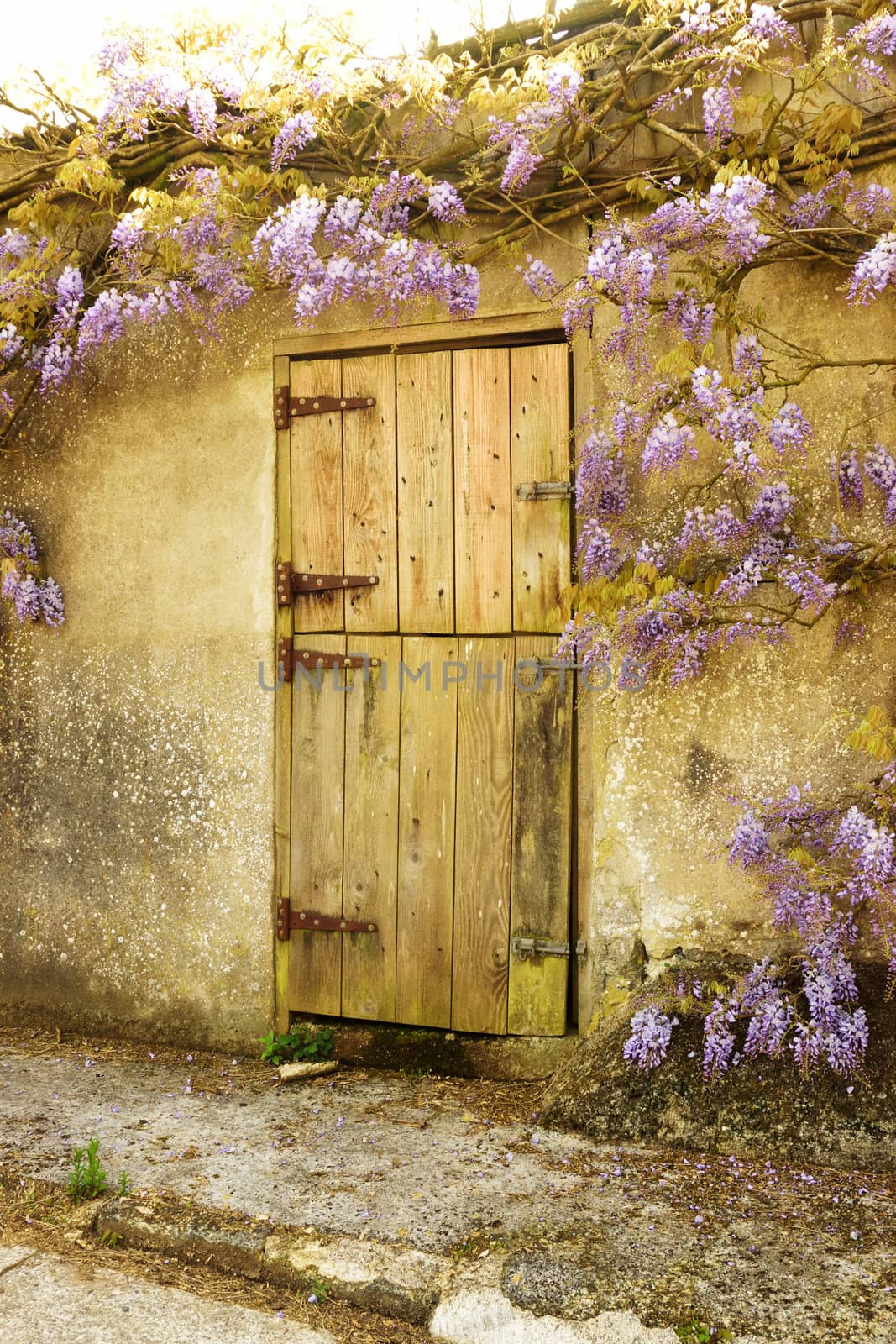 Unusual door. by george_stevenson