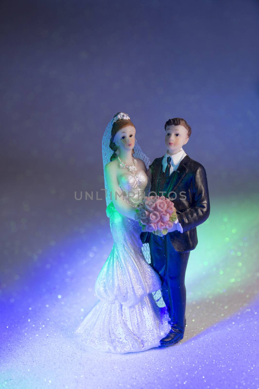 Newlyweds embraced bride and groom