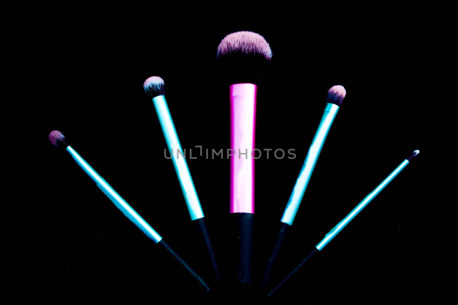 Makeup brushes in the shape of a fan