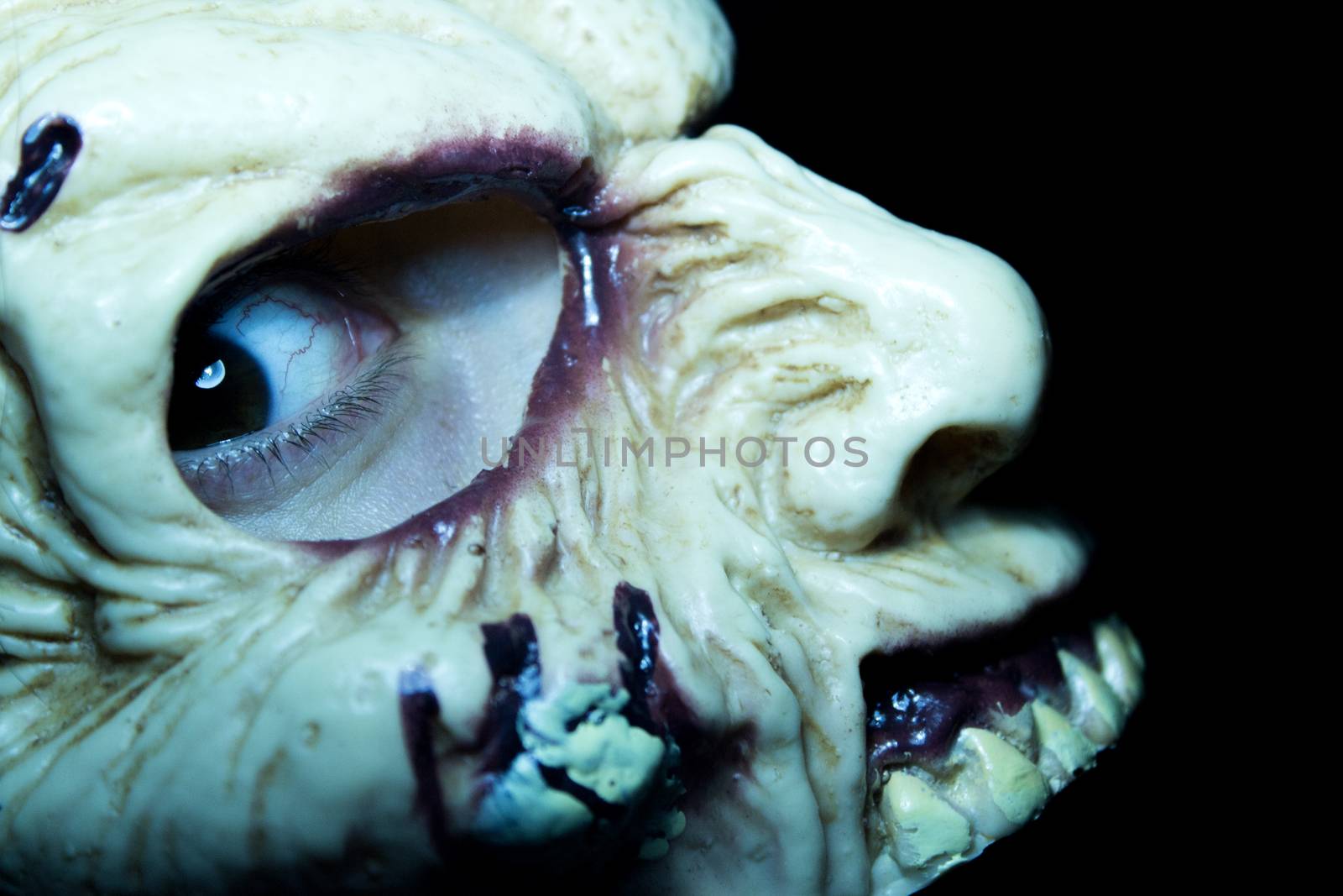 Portrait of a zombie woman at halloween party