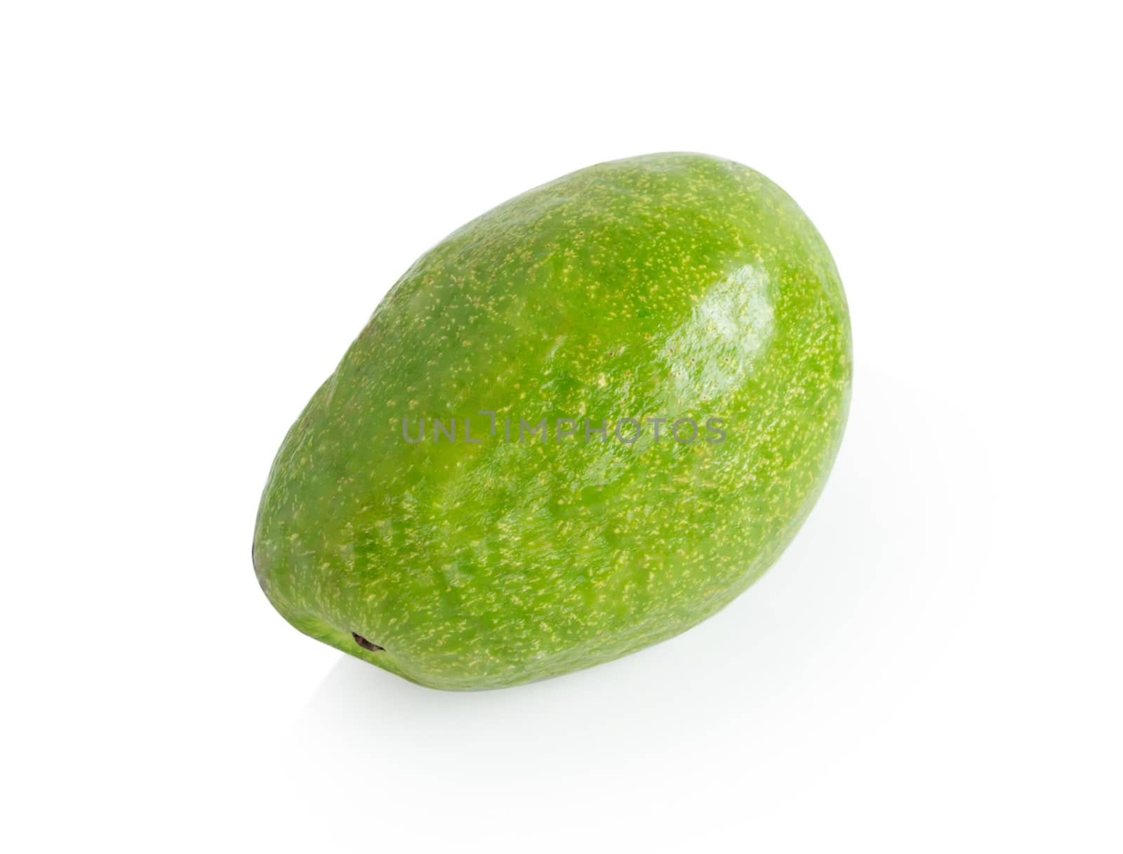 Closeup avocado ripe fruit isolated on white background with cop by pt.pongsak@gmail.com