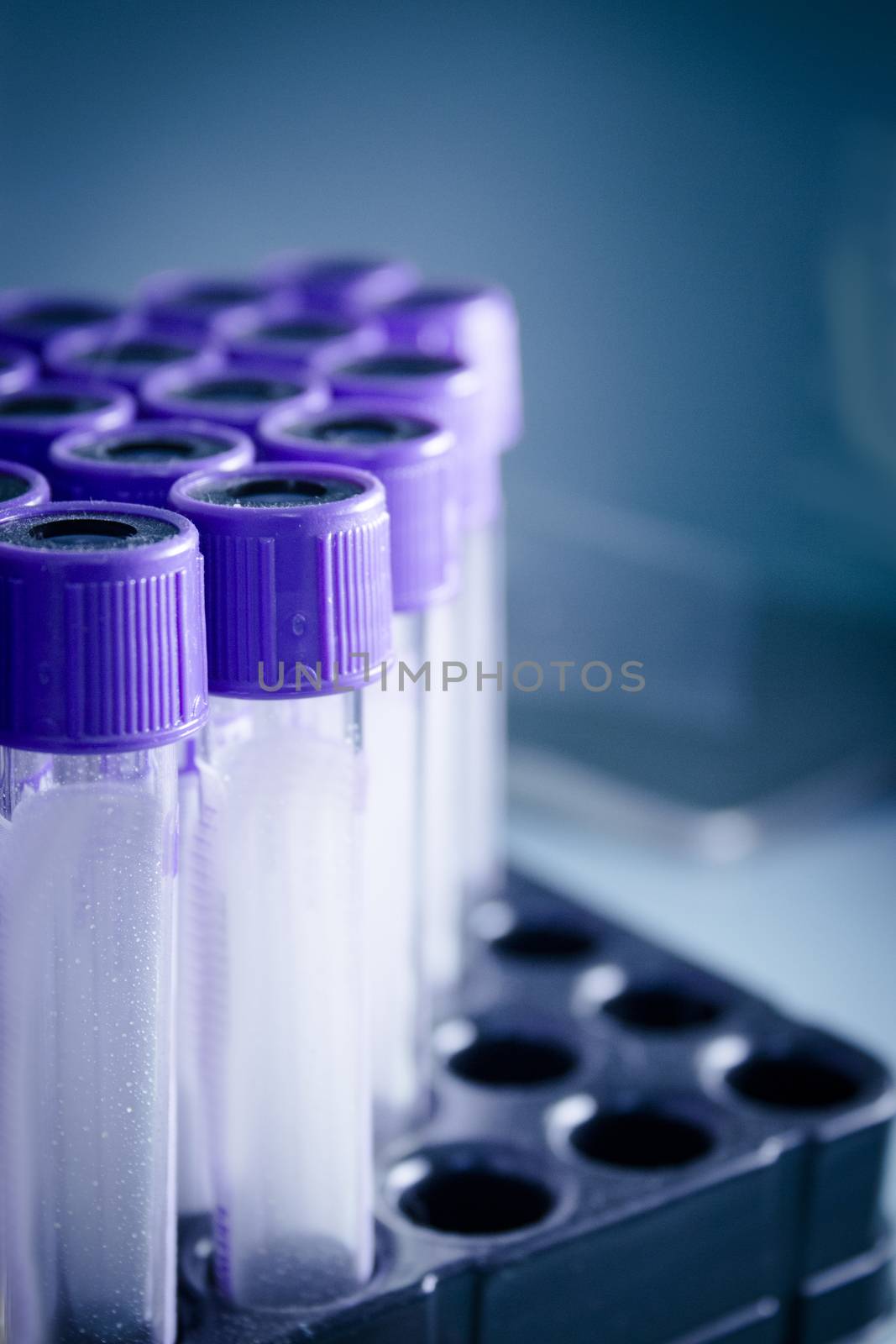 Vials for veterinary use to cure different diseases. No people