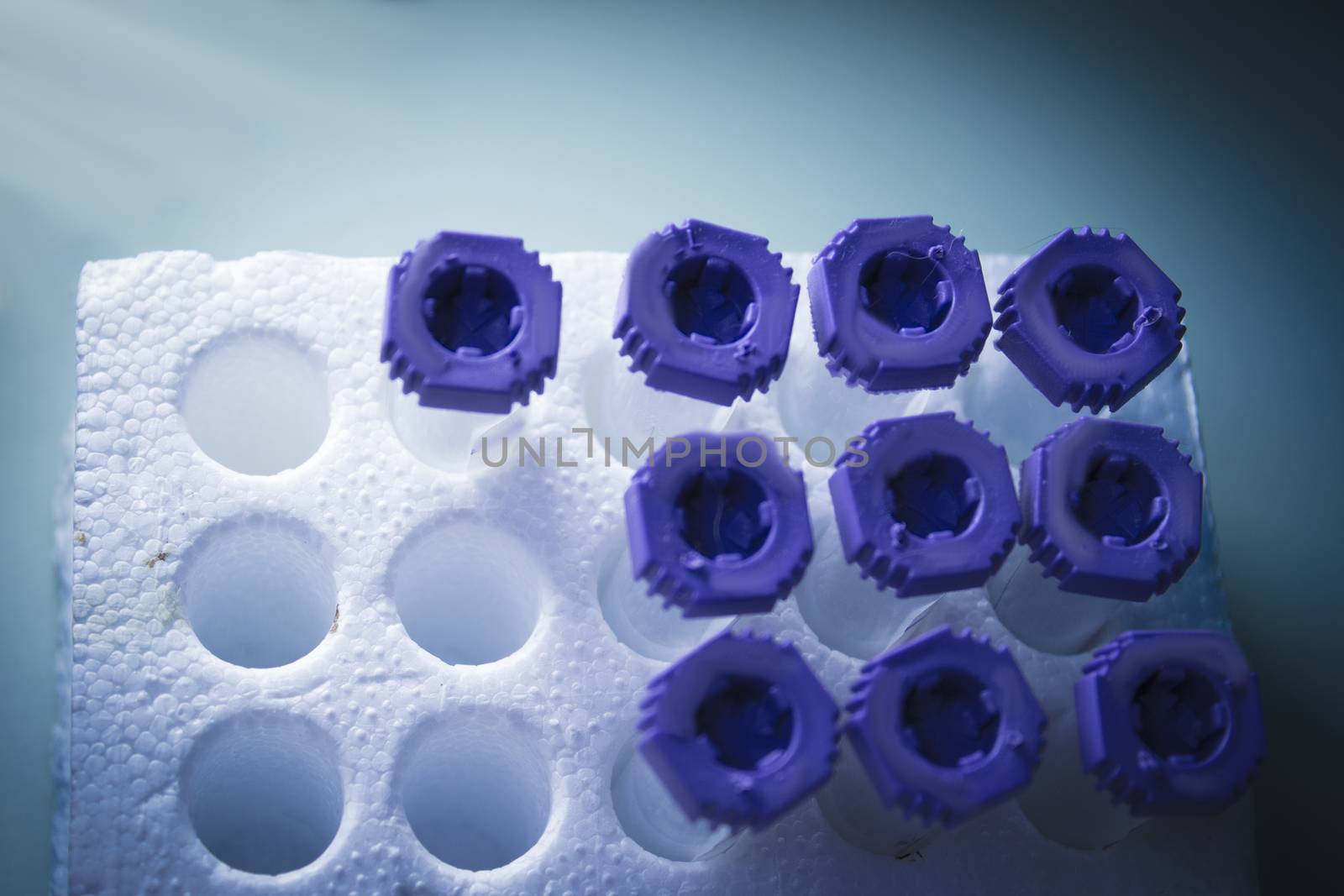 Vials for veterinary use to cure different diseases. No people