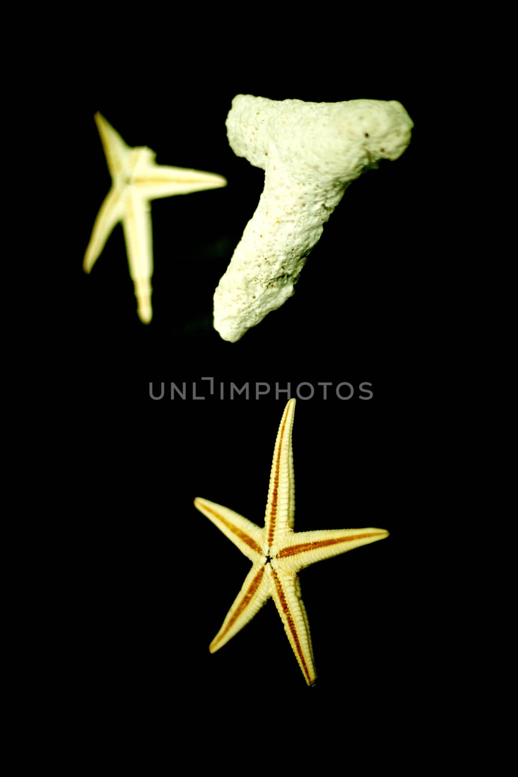 Stars and decorative stones of the sea by GemaIbarra