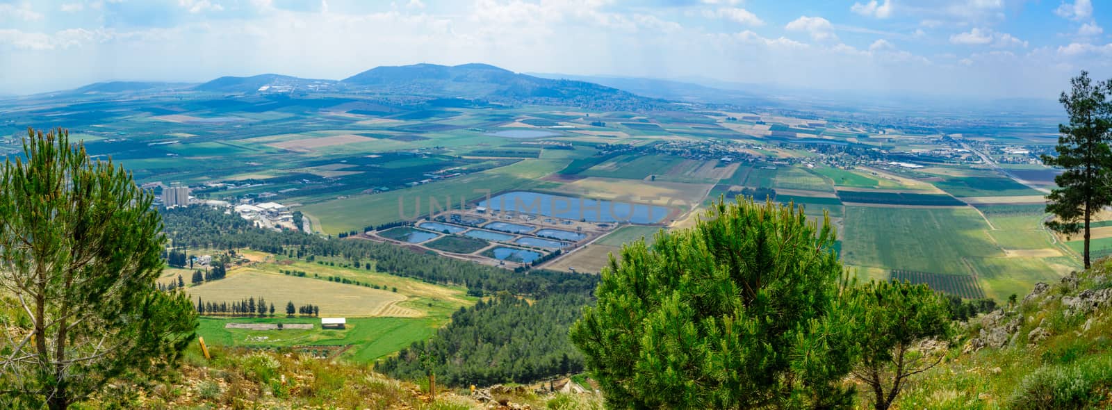 Panorama of the Jezreel Valley landscape, viewed from Mount Precipice. Northern Israel