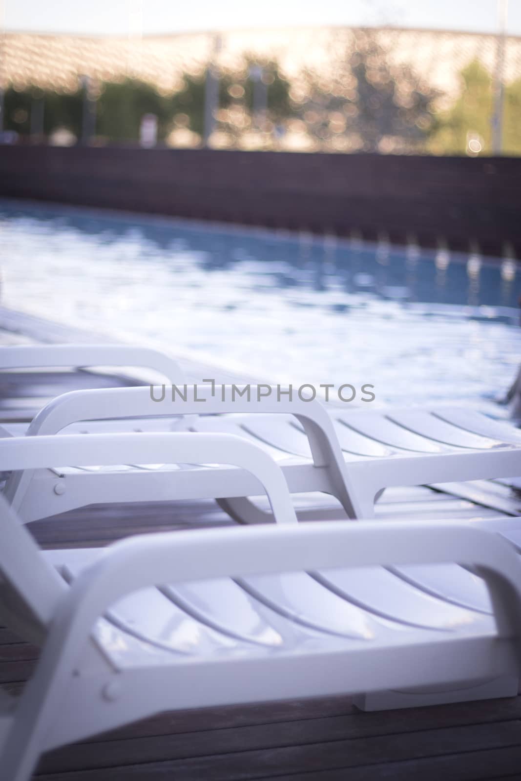 Empty hammock in pool with landscape at the bottom of trees