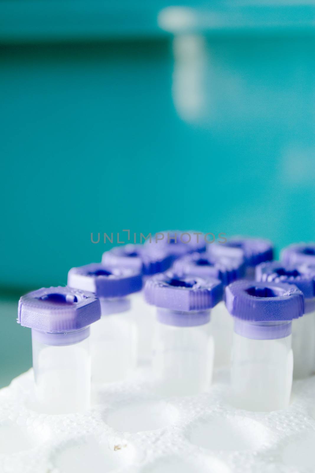 Vials for veterinary use to cure different diseases. No people